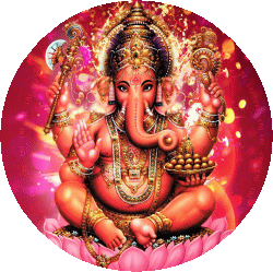 �K�l�[�V��